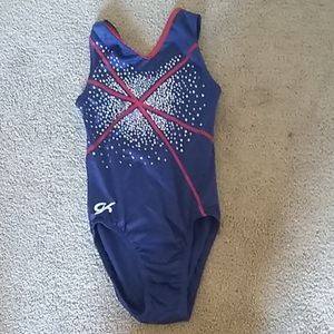 Blue and red gymnastics leotard
